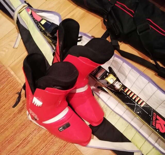 salomon holdall